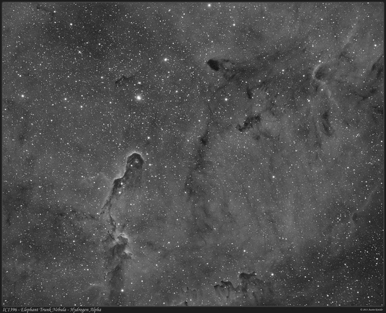 IC 1396 – Elephant Trunk Nebula